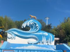 -上海玛雅海滩水公园