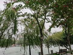 -东山湖公园