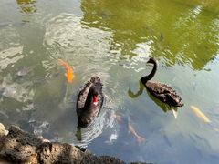 -海南热带野生动植物园