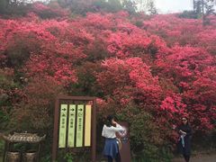 -木兰云雾山