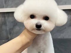 -唐小姐の猫狗洗护·购宠旗舰店(周浦万达店)
