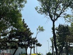 -日照灯塔风景区