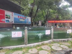 -天怡·鱼工厂(梅溪湖店)