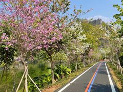 -星湖旅游景区七星岩