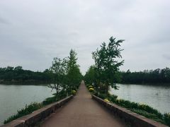 -白鹭湾湿地公园