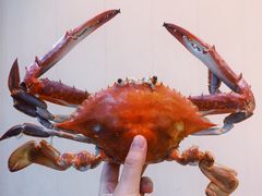 -胖大嫂渔家排档·全海景餐厅(渔村店)