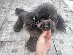 -沐沐家宠物(成寿寺店)