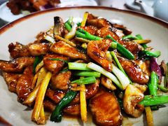 -鲤鱼塘农家山庄