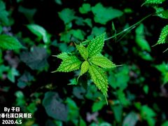 -溪口-滕头旅游景区