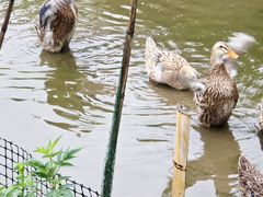 -云中大漈