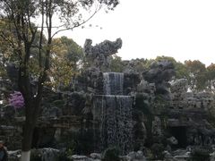 -上海鲜花港