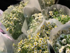 -循礼门鲜花花市(武汉循礼门店)