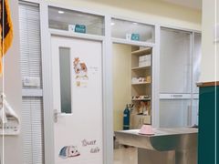 -美迦爱动物医院·夜诊(朝阳路诊疗中心)