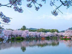 -东湖磨山景区