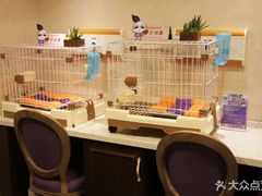 -宠爱国际动物医院·消化内科·心肾内科·ISFM猫友好(望京店)
