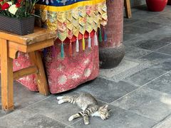 -龙华素斋(龙华路店)