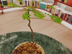 -二酉书店TOYOU BOOKS