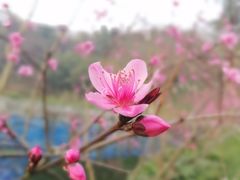 -重庆彩云湖湿地公园