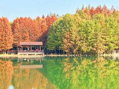 -虎丘湿地公园