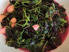 蒜香苋菜-扬州狮子楼·非遗淮扬菜(总店)