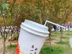 -广州市帽峰山景区