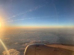 -青藤茶馆(凤起路店)