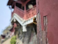 -大慈岩风景区