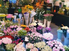 -双季花艺园艺市场(浦东店)