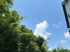 -林丰温泉度假山庄