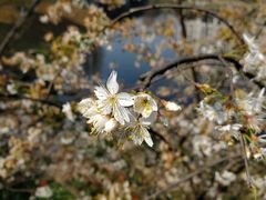 -重庆中央公园(渝北区)