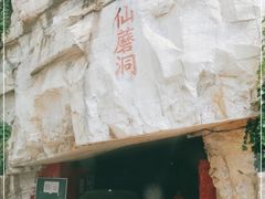 -仙蘑洞
