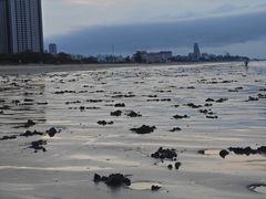 -北海银滩一号国际会议中心酒店