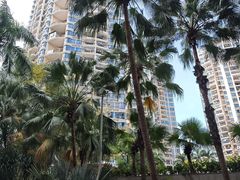 -竹子林(地铁站)