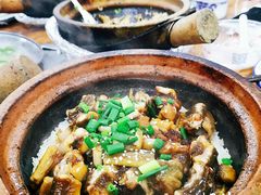 -红星光发煲仔饭(大石街店)