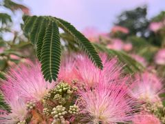 -苏州工学院(东湖校区)