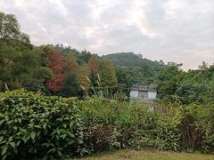 -深圳国际园林花卉博览园