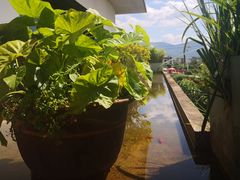 -翠田Green Field Kitchen