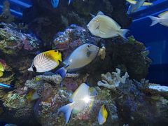 -成都浩海立方海洋公园