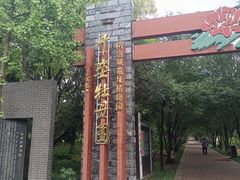 -洛阳市隋唐城遗址植物园