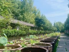 -鄞州雪菜博物馆