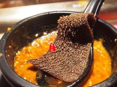 脆毛肚-九鼎轩脆毛肚火锅(三钢里店)
