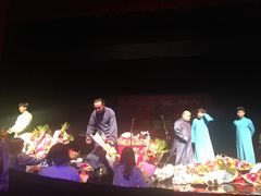 -合肥大剧院