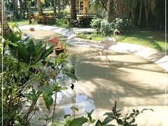 -三亚蜈支洲岛旅游区