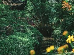 -上海醉白池公园