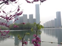 -天鹅湖体育公园