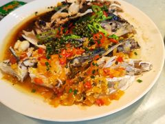 -陶缘一号·四季缘·老字号顺德菜·户外婚礼家宴(西滘店)