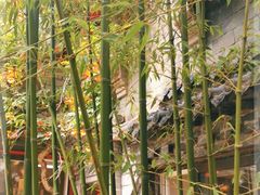 -老张烤羊(王哥庄店)