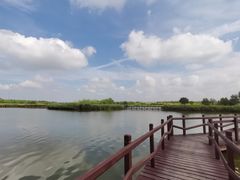 -西青郊野公园