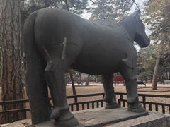 -沈阳市东陵公园