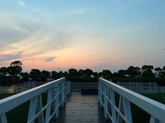 -春花秋色城市公园